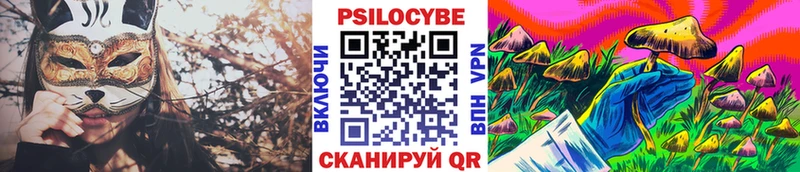 Галлюциногенные грибы Cubensis Вельск